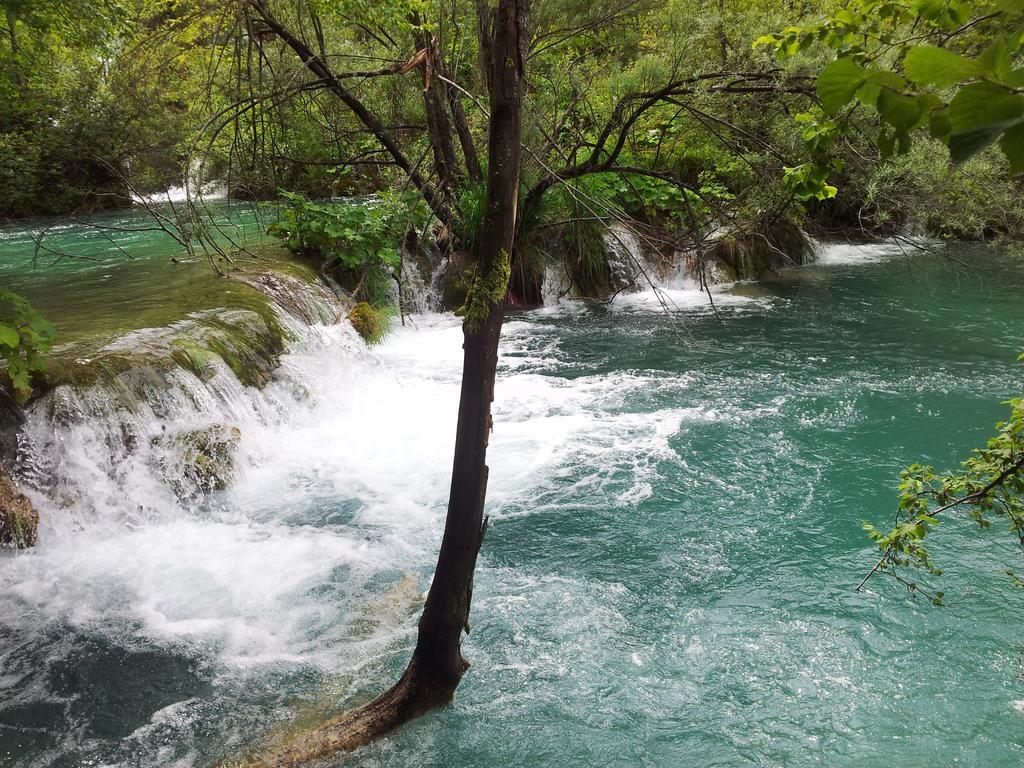 Guest House Family Varda Plitvice Lakes Plitvička Jezera Екстериор снимка
