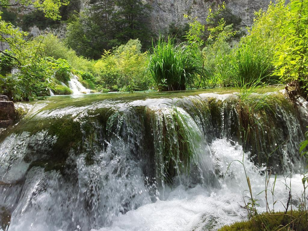 Guest House Family Varda Plitvice Lakes Plitvička Jezera Екстериор снимка