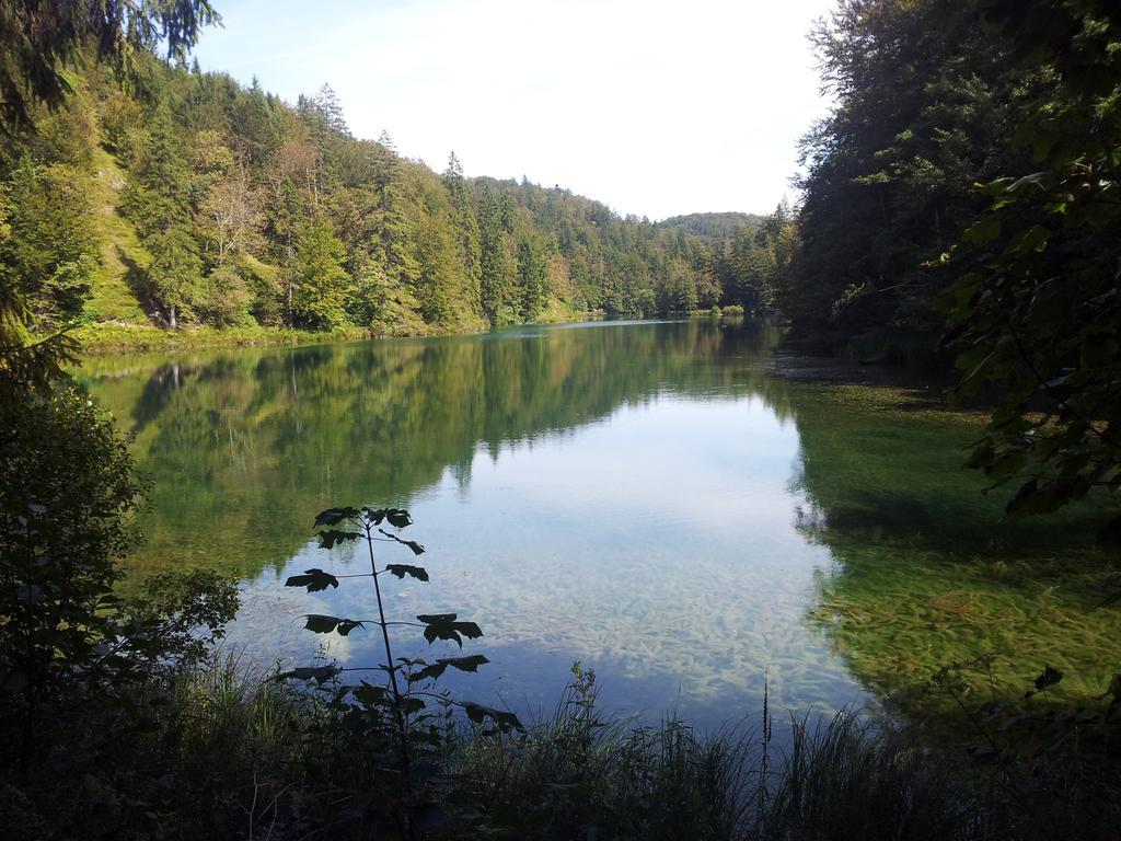 Guest House Family Varda Plitvice Lakes Plitvička Jezera Екстериор снимка